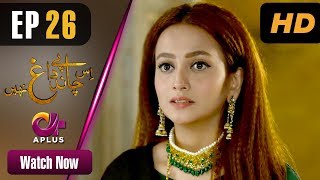 Is Chand Pe Dagh Nahin - Episode 26 Aplus ᴴᴰ Dramas Zarnish Khan Pakistani Drama Is Chand Pe Dagh Nahin - Episode 26 Aplus ᴴᴰ Dramas Zarnish Khan Pakistani Drama