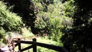 GOMERAACTUALIDAD-HERMIGUA