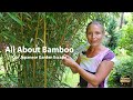 How to Grow, Maintain and Control Bamboo | Our Japanese Garden Escape