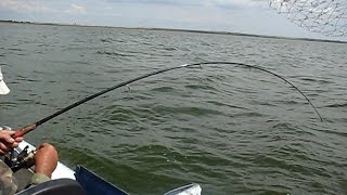 ловля в заливе с берега ловля в заливе с берега
