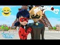 Miraculous Tales of Ladybug & Cat Noir | Stone Heart | Disney Channel UK