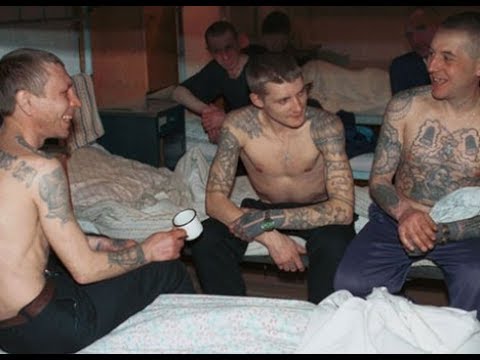 успокоился Как развестись в тюрьме умы