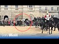 Another spooked Household Cavalry horse throws rider during military parade in London