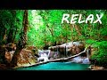 Download Relaxing Music and Soothing Water Sounds 2 🔴 Sleep 24/7 BGM Relaxation mp4 3gp mp3 videos - waplic
