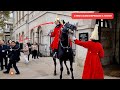 Never seen 2 King's Guards Reprimand a Tourist as Horse Goes Wild at Horse Guards in London