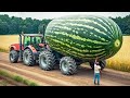 20 Biggest Fruits & Vegetables Ever Recorded