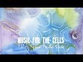 Emiliano Toso: 432Hz Music for Cells, Healing, Relaxing by Bruce Lipton | Musica per Rilassarsi