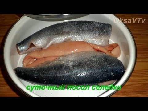 Как посолить селедку в домашних условиях простой Как посолить селедку в домашних условиях простой
