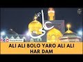 Ali Ali Bolo Yaro Ali Ali Hardam - Zahir Miyan Qawwali | Haqiqat حقیقت |