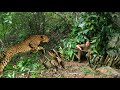 Full video: 100 days of Monster attacks, building shelters, setting traps for wild animals