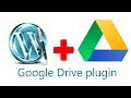 what is hp google drive plugin