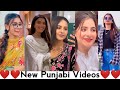 New Instagram Punjabi Reels Video | Instagram Reels @PUNJABIREELER
