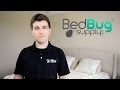 How to Get Rid of Bed Bugs in 4 Easy Steps