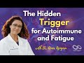 The Commonly Missed Root Cause of Fatigue and Autoimmune: Your Body’s Freeze Response