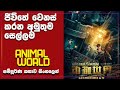 "Animal World" චිත්‍රපටයේ සම්පූර්ණ කතාව සිංහලෙන්Sinhala Movie ReviewMovie Explanation in Sinhala