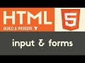 Input & Forms | HTML | Tutorial 14