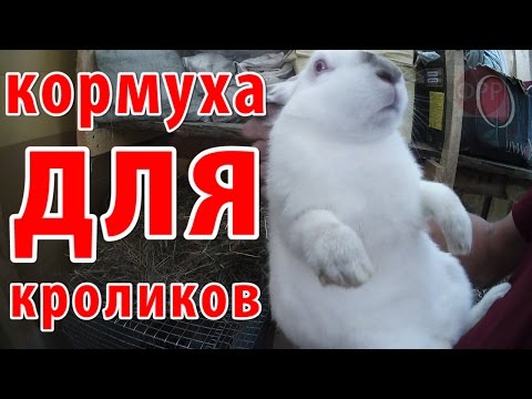 Кормушки для кроликов ютуб Кормушки для кроликов ютуб