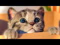 NEW LITTLE KITTEN ADVENTURE - LONG SPECIAL CARTOON FOR KIDS LEARNING AND PET CARE ANIMAL FRIENDS #57