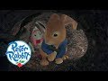 Peter Rabbit - The Labyrinth | Cartoons for Kids