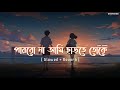 পারবো না আমি ছাড়তে তোকে Lofi [ Slowed + Reverb ] Song. New Bangla Sad Slow Lofi Music.
