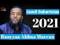 Raayyaa Abbaa Maccaa 𝙜𝙪𝙢𝙞𝙞 𝙙𝙪𝙗𝙖𝙧𝙩𝙤𝙤𝙩𝙖 𝙞𝙨𝙡𝙖𝙖𝙢𝙖𝙖 2021