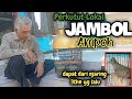 Perkutut Lokal JAMBOL Ampoh dapat dari njaring 3(tiga) tahun yg lalu ..istimewaaa looor...⁉️