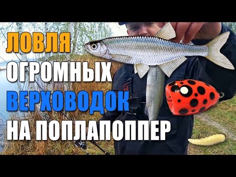 все для рыбалки балахна все для рыбалки балахна