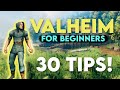 Valheim - 30 Tips and Tricks for New Players!