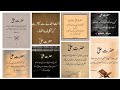 Urdu Quotes  Hazrat Ali (R.A) about reality of life | Islamic quotes | Aqwal e zari | Urdu quotes