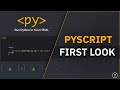 Python In The Browser! PyScript First Look