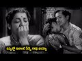 ఇప్పట్లో ఇలాంటి సీన్స్ రావు భయ్యా | Pellinati Pramanalu Telugu Movie Climax Scenes | TMT