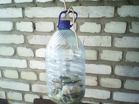 Как сделать опарыша Как сделать опарыша