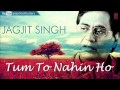 Jagjit Singh Ghazal "Wo Nahin Mila" | Tum To Nahin Ho Album | Best Of Jagjit Singh Ghazals