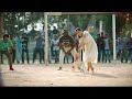 Lily's Cricket Batting Scene - Dear Comrade | Dhool Scene Ma