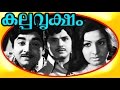 Kalpa Vriksham | Old Malayalam Super Hit Movie | Full Movie HD | Prem Nazir