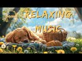 【Picnic Light Music Moments】: Picnic in the company of cute dog | 2 Hours of Pure, Ad-Free Music