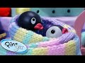 Pingu And His Daily Adventures @Pingu Cartoons For Kids