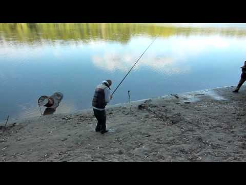 что клюет сегодня на днестре что клюет сегодня на днестре