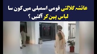 Ayesha Gulalai wears a turban to attend National Assembly session
