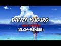 Danza Kuduro (Extended Remix)" ft. Lucenzo, Daddy Yankee, Arcángel]   (SLOWED+REVERB)