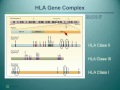 The Great Search - HLA Typing, Donor Selection and Beyond