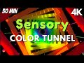 Sensory Music for Autism: Rainbow Sensory Tunnel Radiate Happiness with Colorful Visuals