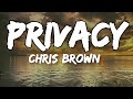Chris brown - Privacy (Lyrics)