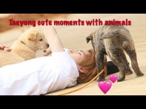Taeyong being adorable with animals part 1 