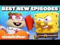Best Of Kamp Koral New Episodes Part 1! 🍔 30 Minutes | Nicktoons