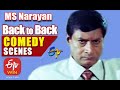 MS Narayan | Back to Back | Comedy Scenes - 3 | ETV Cinema