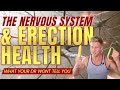 The Nervous System and Erection Health - Improve Your Boners Naturally