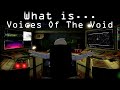 What is Voices of the Void?