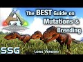 ARK SURVIVAL The Best Guide on Breeding Stat Mutations SeeShellGaming