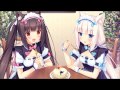 ネコぱら OP FULL Taiyou paradise (タイヨウパラダイス)